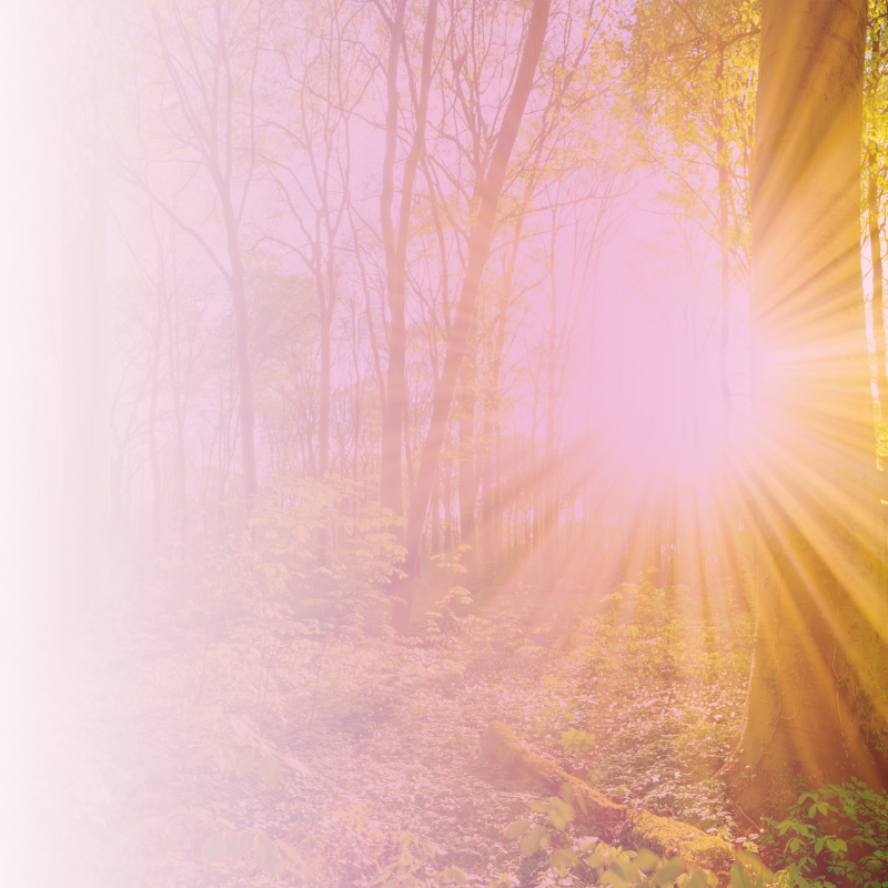 Love and Light Meditation – 06 Apr, 2026