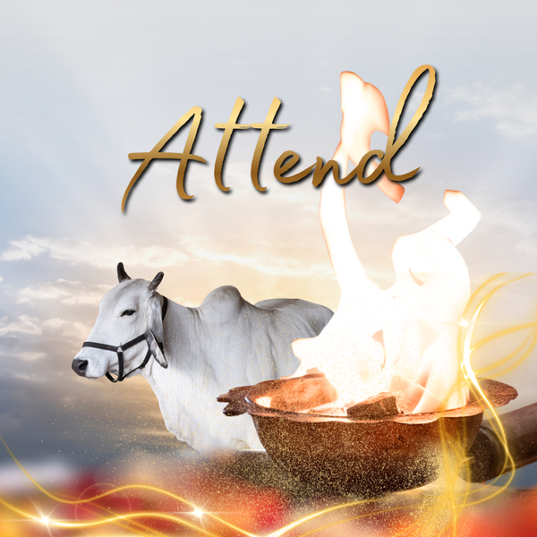 Vedic Fire Ceremony Shanti Mission