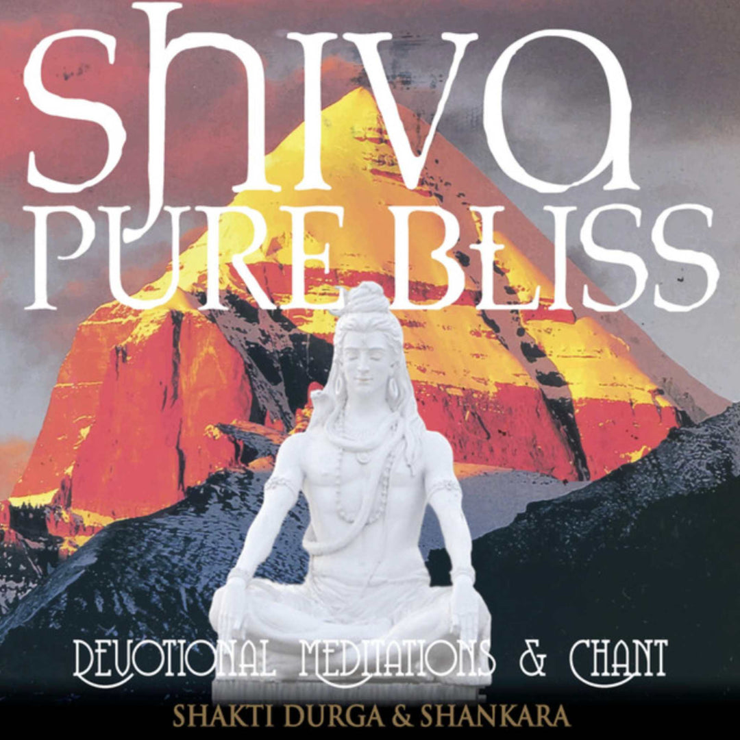 shiva-pure-bliss-album-cover